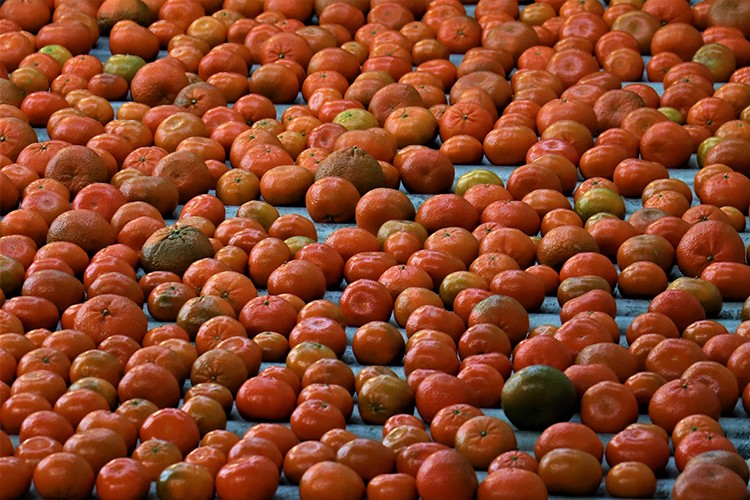 Hedef pazar Uzak Doğu