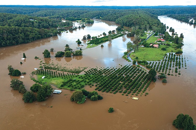Seller, Türkiye'nin GSYİH'sinde Yüzde 6'lık Kayıp Yaratıyor
