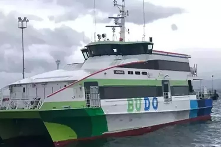 Bursa Deniz Otobüslerinin bazı seferleri iptal edildi