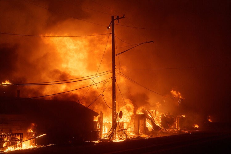 California'daki orman yangınlarında kayıp 57 milyar dolar