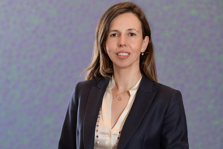 Pladis hızlandırma programı 1 Temmuz'da başlayacak