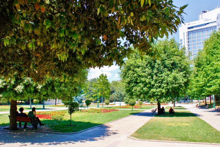 GEZİ PARKI YENİDEN İBB'NİN