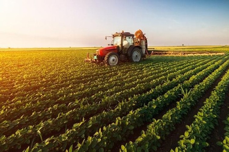 Çiftçiye destek ödemesi başladı