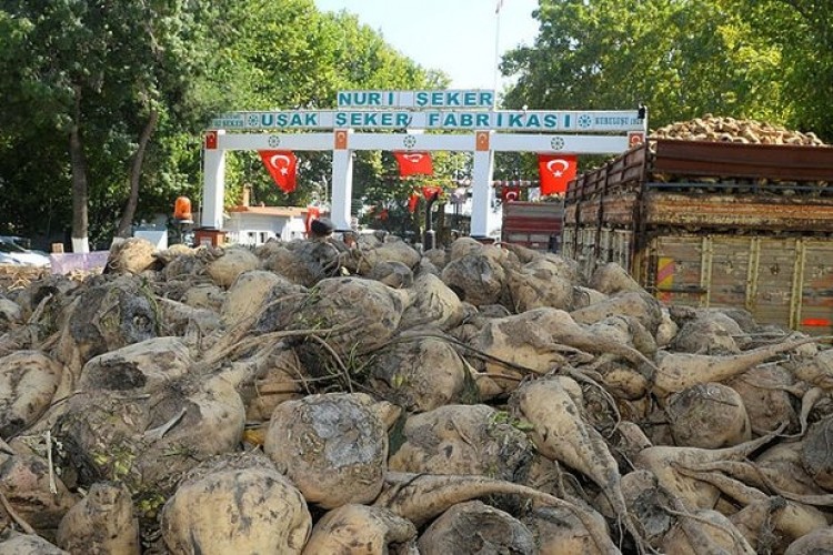 Elektrik enerjisi alınacaktır