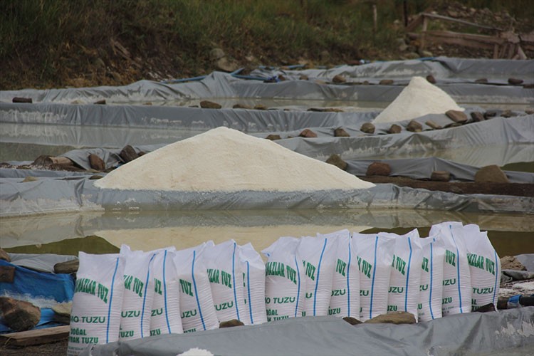 Sivas'ın "esmer tuzu" Japonya'da yemeklere lezzet katıyor