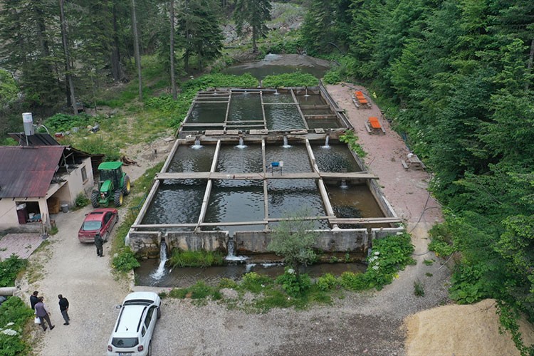 Elektriği alabalık havuzunun suyundan üretiliyor