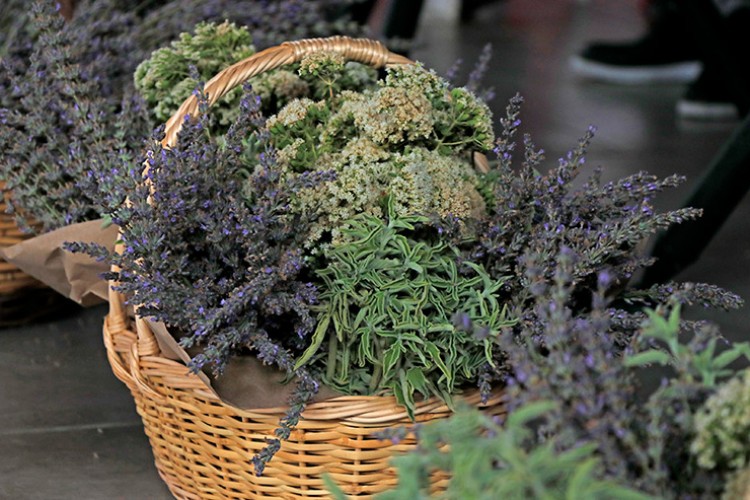 Bilinçli tarımla bitkiler çiftçiye gelir sağlayacak