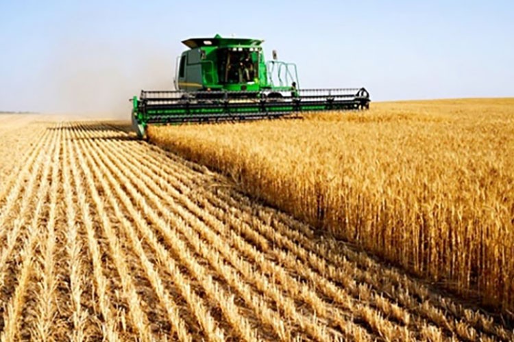 Tarım-ÜFE aylık yüzde 4.59 yükseldi