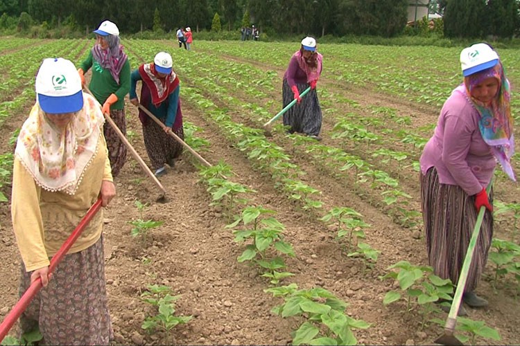 Kadın çiftçiler günü