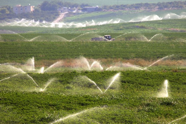 Sulanabilecek arazinin 7,3 milyon hektarı geçmesi bekleniyor
