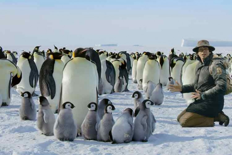 Eğlence Dünyasının Kapılarını Aralıyor