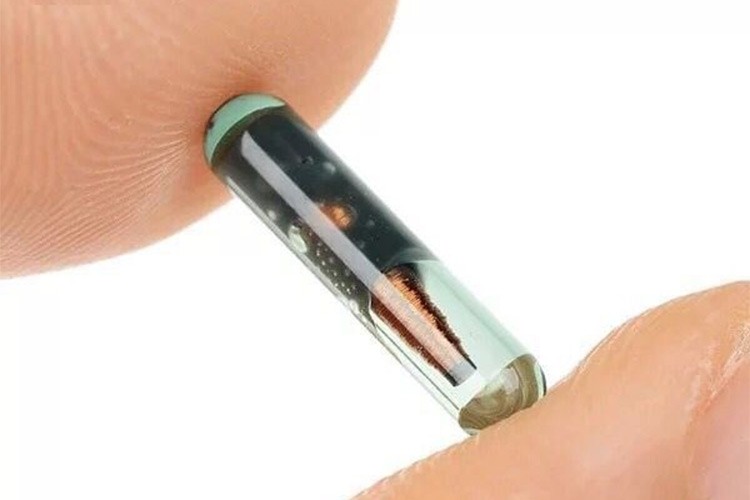 Mikroçiplerin hammaddesine ilişkin değerlendirme