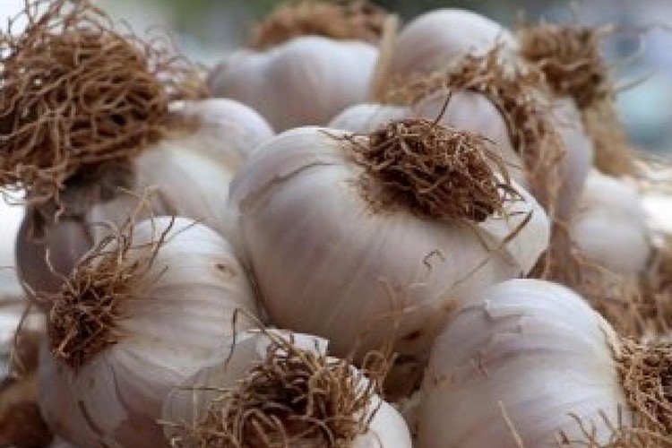 En çok sarmısak zamlandı