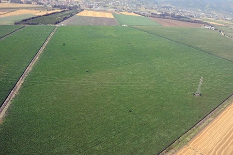 Türkiye'de 28 ova "büyük ova koruma alanı" olarak belirlendi