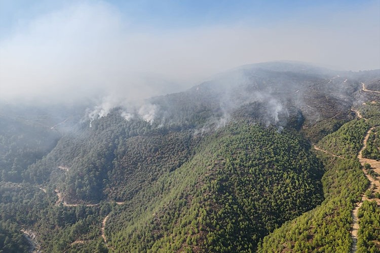 Manisa'daki orman yangınlarına müdahale sürüyor