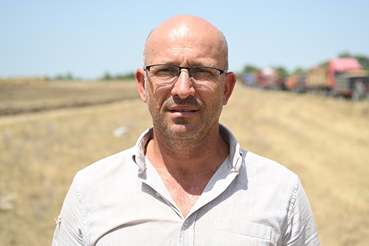 Aşırı sıcaklar geç ekilen ayçiçeğini olumsuz etkiliyor