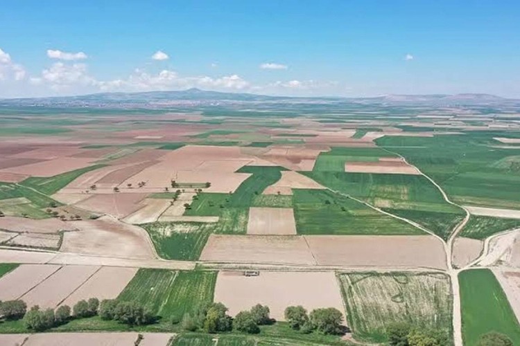 Kocasinan Tarım Bölgesi yatırım programında