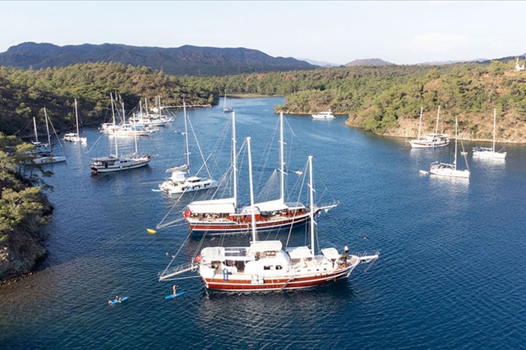 Deniz turizmi izin belgesi işlemleri dijital ortamda