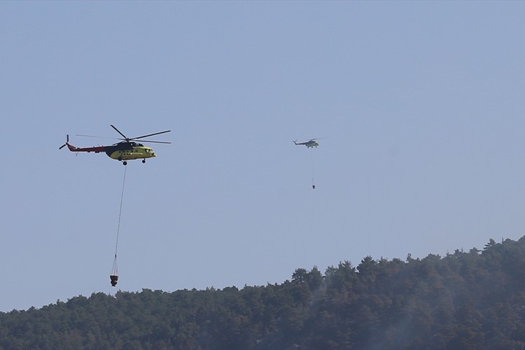 Pamukkale'deki orman yangını kontrol altına alındı