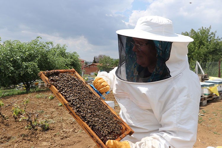 Arıcılığa merak saran kadın, 47 yıldır bal üretiyor
