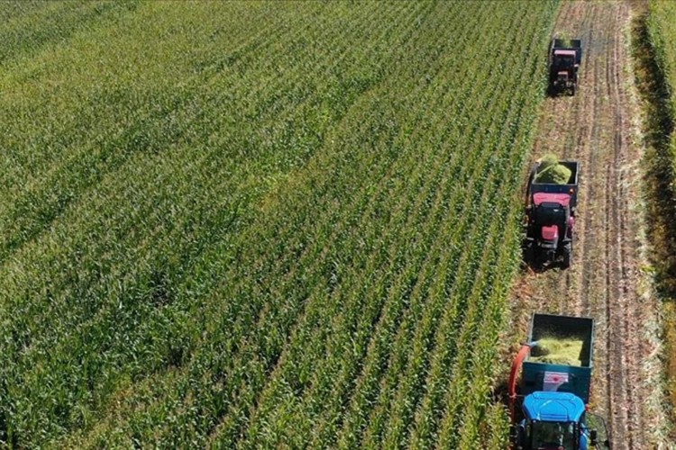 Hümik asit kullanımıyla toprak verimliliği artıyor