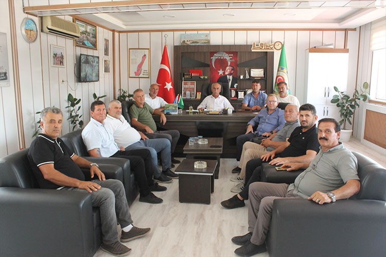 Samsun'da çeltik hasadı bu yıl gecikmeli başlayacak