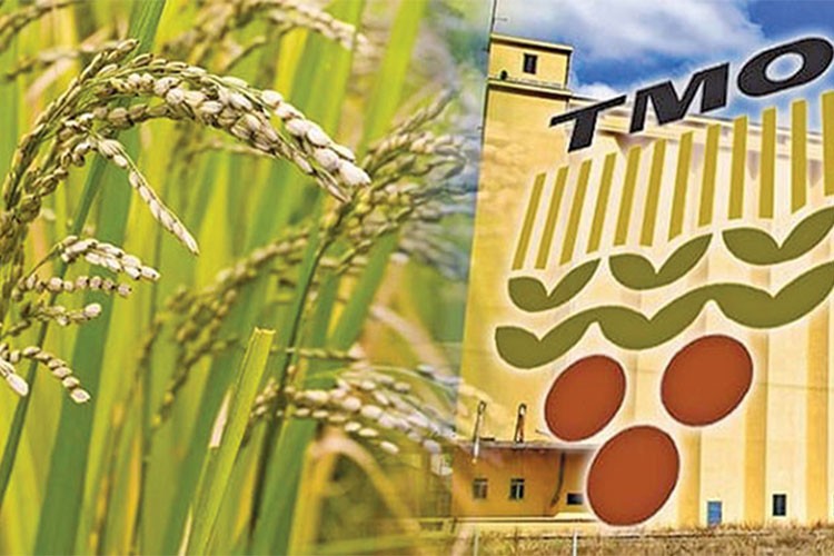 TMO, 90 gün vadeli arpa ve yulaf satışı yapacak