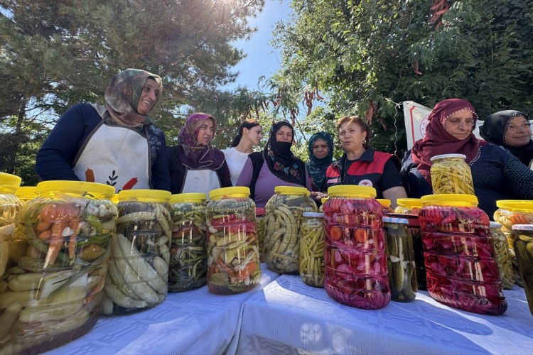 Sebzeyi turşuya dönüştürerek gelir sağlıyorlar