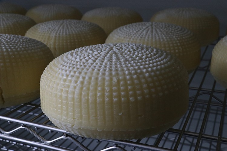 Tescilli Çerkez peyniri, destekle kurulan tesiste üretiliyor