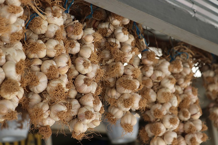 Fiyatı 5 lira arttı