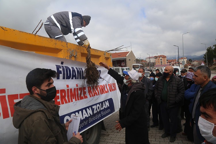 Çameli'nde ceviz alanları genişletiliyor