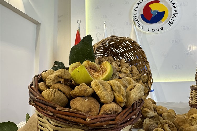 Aydın'da sezonun ilk kuru inciri, kilogramı 700 liradan satıldı