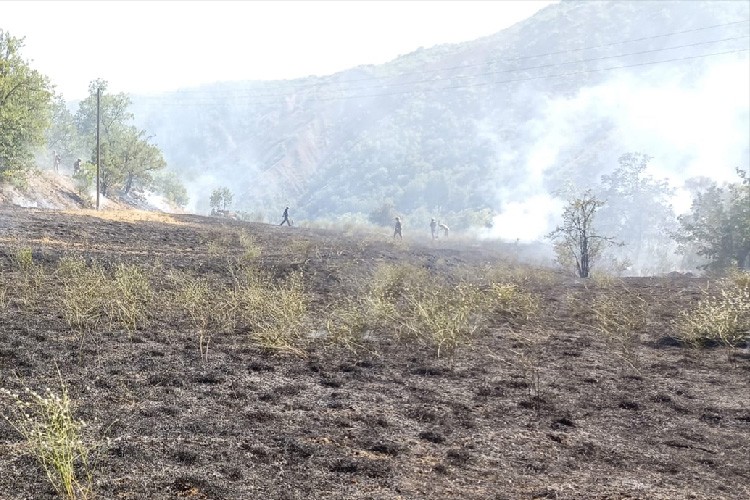 Tunceli'de orman yangınına müdahale ediliyor