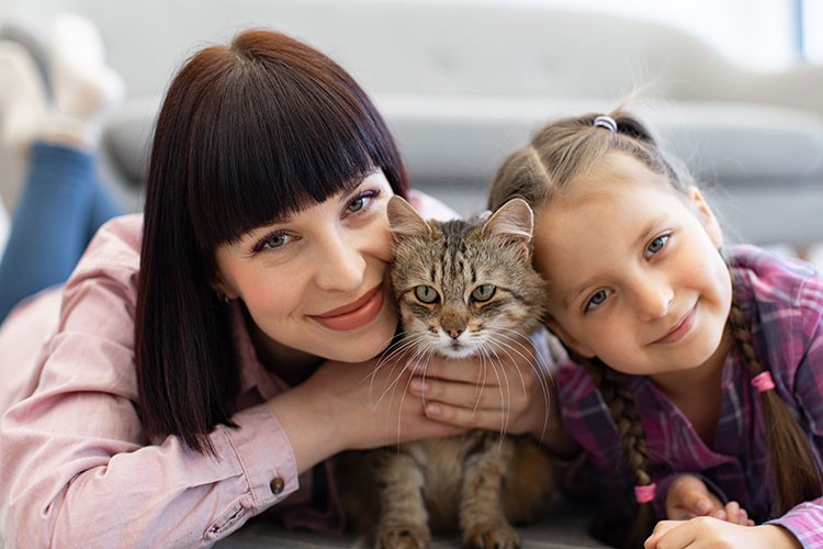 Kediler, sahiplerinin yaşam süresini uzatıyor