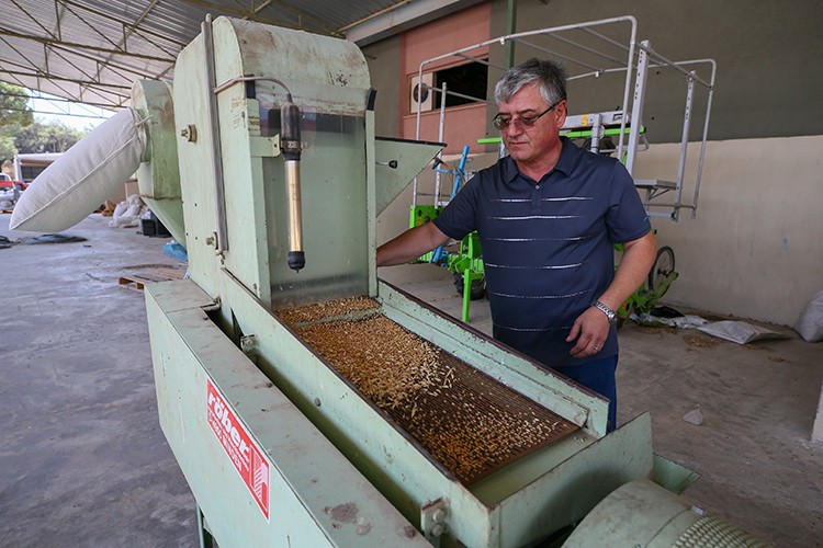 İki yeni yerli çeşit