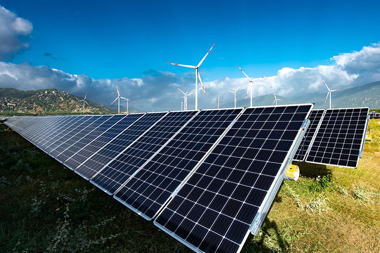 YEO, ilk çeyrekte karını yüzde 290 artırdı!