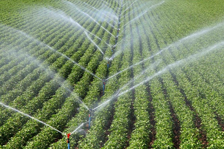 Tarım yatırımlarında bu yıl sulama projeleri öne çıkıyor