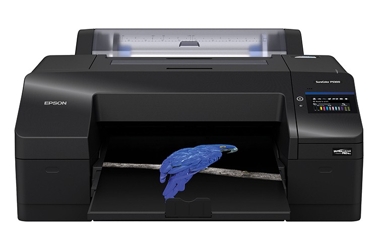 Epson, sanatı canlandıran yazıcısını tanıttı