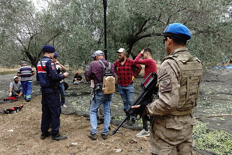 Jandarma zeytinler çalınmasın diye gece gündüz nöbette