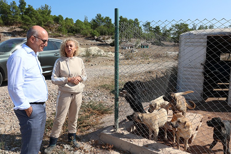 Egeli ihracatçılar can dostlarımıza destek oluyor