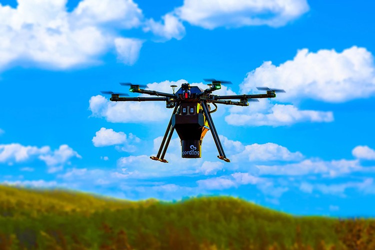 ecoDrone'lar aracılığıyla tohum topları doğa ile buluşturuluyor