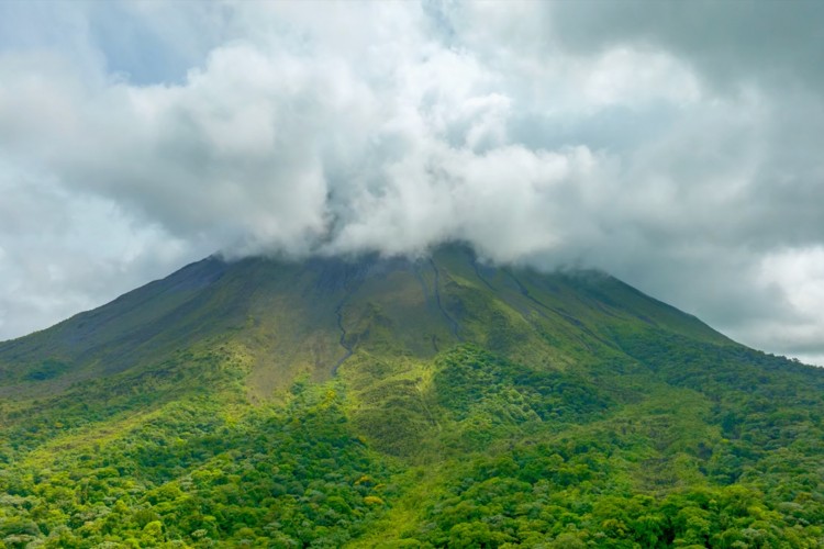 National Geographic NOW Seç-İzle Servisi Nisan Ayında 'Dünya Günü'nü Kutluyor!