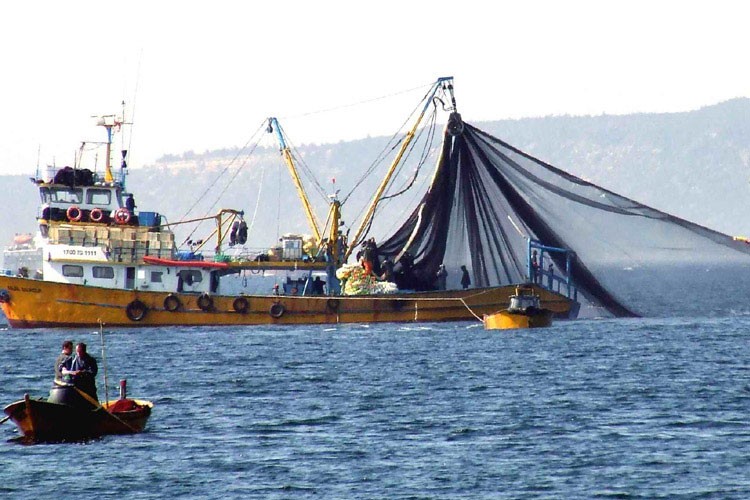 Denizlerde av yasağı yarın başlıyor