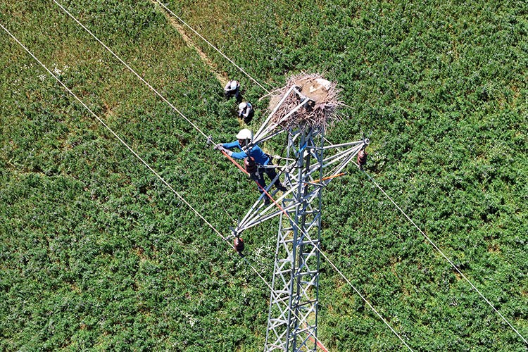 Doğa dostu enerji güvencesi sağlıyor