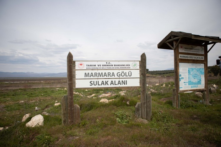 Dünya Sulak Alanlar Günü mü? Dünya Kurak Alanlar Günü mü?