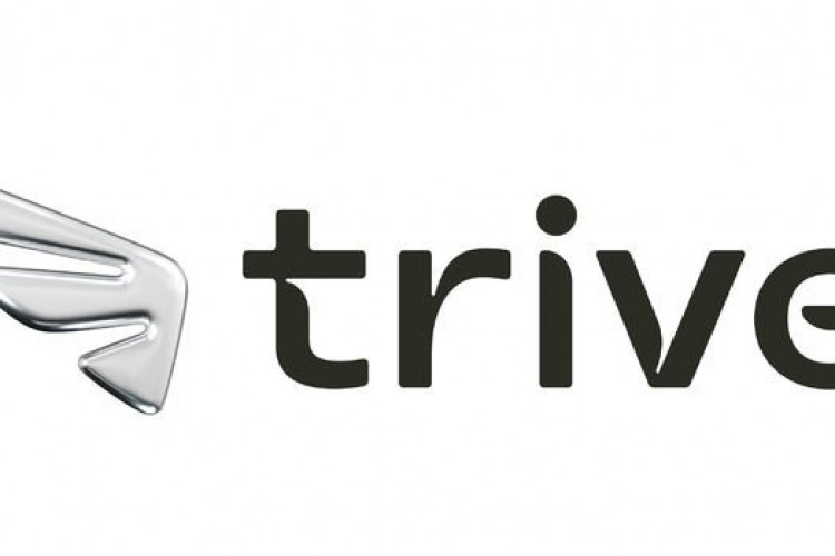 Trive Yatırım'nın net kârı 5 kat arttı