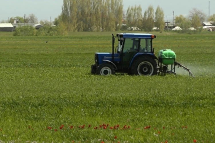 Çiftçilere 945 milyon lira tarımsal destekleme ödemesi yapılacak
