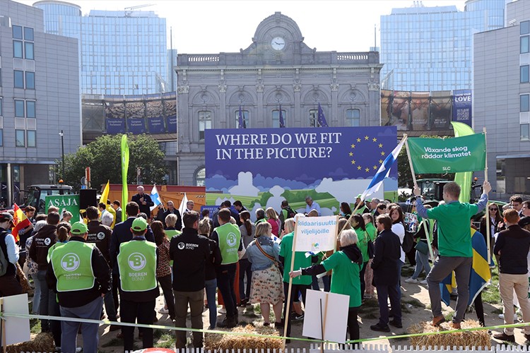 Brüksel'de çiftçiler Doğa Restorasyon Yasası'na karşı gösteri düzenledi