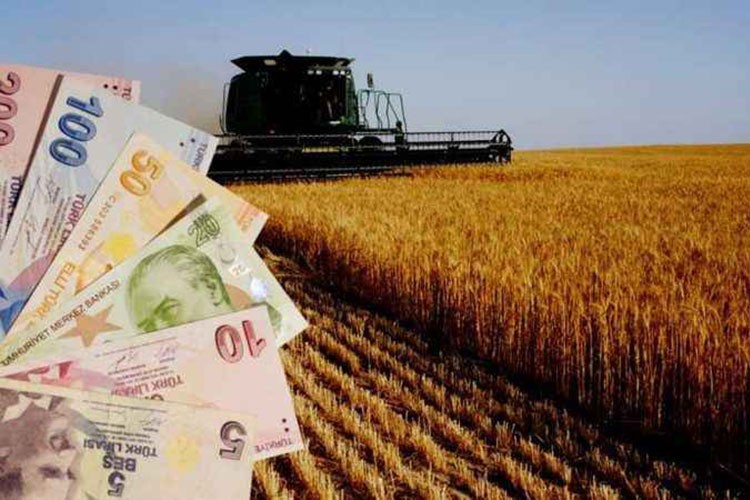 Tarımsal girdiler aylık yüzde 6,56 arttı