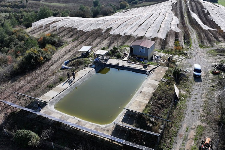 Çukurova'da tarımsal üretime "yeşil destek"